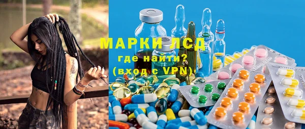 ПСИЛОЦИБИНОВЫЕ ГРИБЫ Алзамай